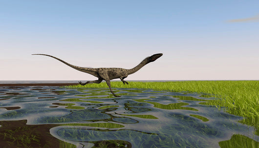 Coelophysis Running through Swampy Wall Decal Design 1