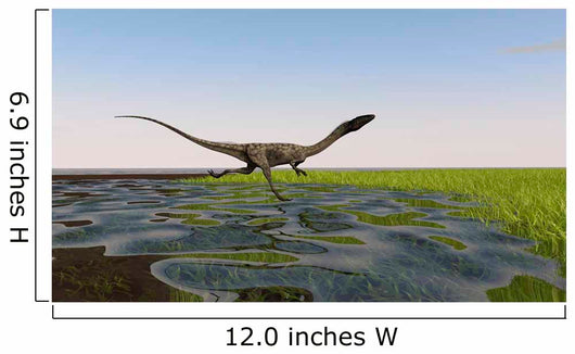 Coelophysis Running through Swampy Wall Decal Design 1
