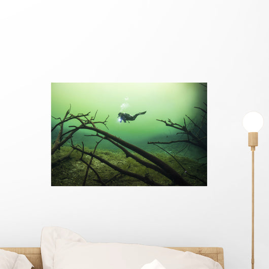 Diver Car Wash Cenote Wall Decal