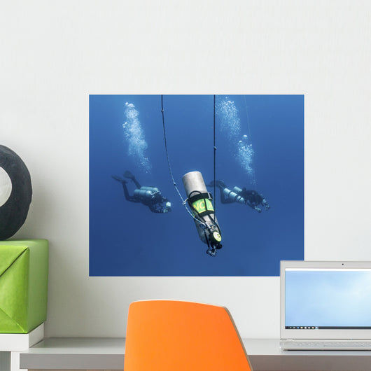 Technical Divers Ascend near Wall Decal