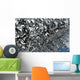 Virus Has Spread through Wall Decal