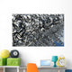 Virus Has Spread through Wall Decal