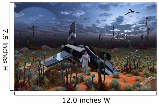 Astronaut Surveys Desert like Wall Decal