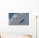 F-22 Stealth Fighter Jets Wall Decal