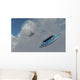 F-22 Stealth Fighter Jets Wall Decal