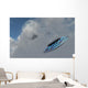 F-22 Stealth Fighter Jets Wall Decal