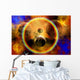 Creation New Star Systems Wall Decal