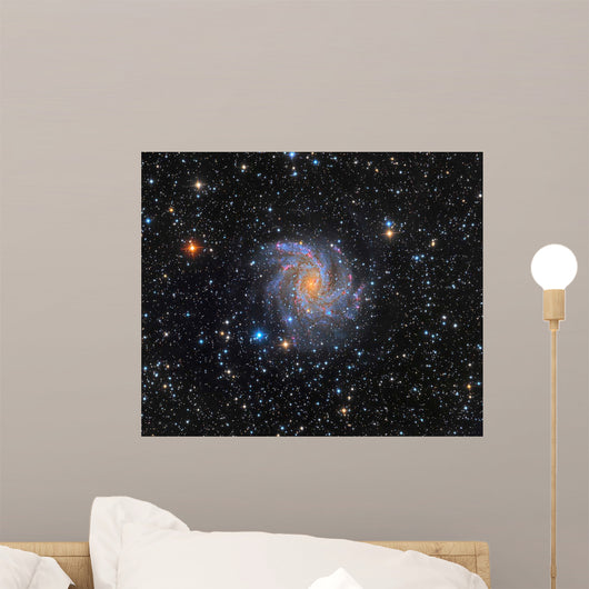 Ngc 6946 Fireworks Galaxy Wall Decal