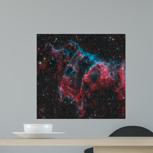Ngc 6995 Bat Nebula Wall Decal