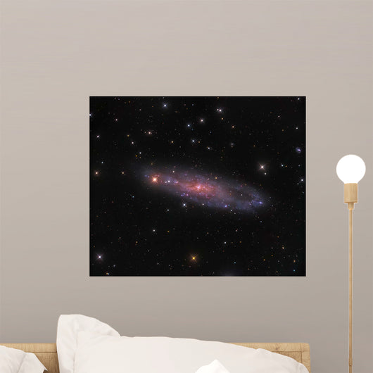 Ngc 247 Galaxy Constellation Wall Decal