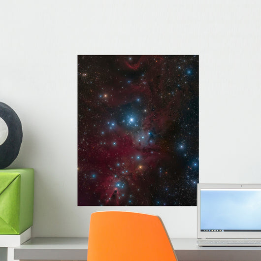 Christmas Tree Cluster and Wall Decal