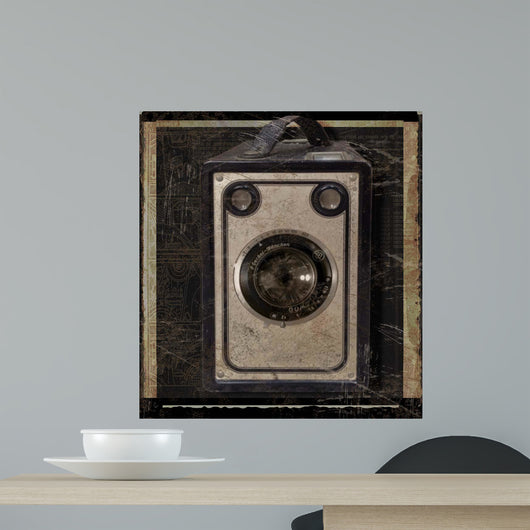Nostalgica: Vintage Camera Wall Mural