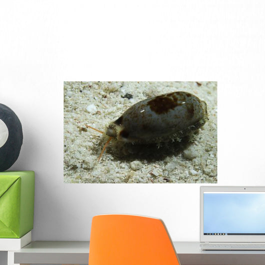 Grey and Brown Wandering Wall Decal