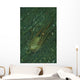 Octopus Fleeing Mimicking Flounder Wall Decal