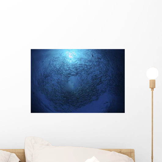 Circling School Jacks Trevally Wall Decal Design 6