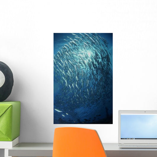 Circling School Jacks Trevally Wall Decal Design 4