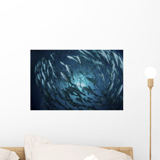 Circling School Jacks Trevally Wall Decal Design 3