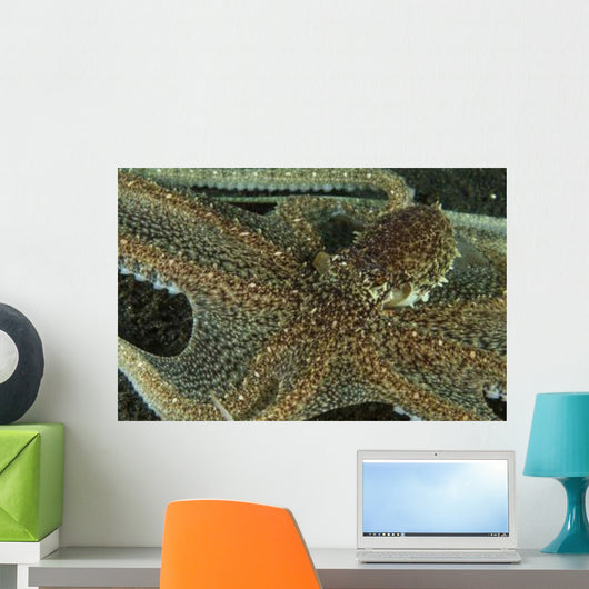 Mimic Octopus with Arms Wall Decal
