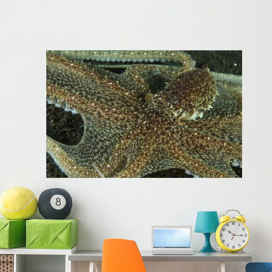 Mimic Octopus with Arms Wall Decal