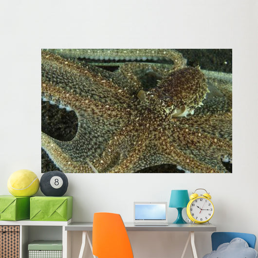 Mimic Octopus with Arms Wall Decal