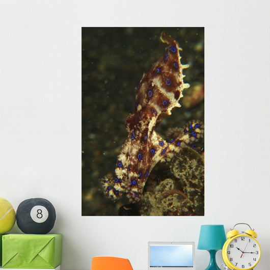 Blue-ring Octopus Black Sand Wall Decal