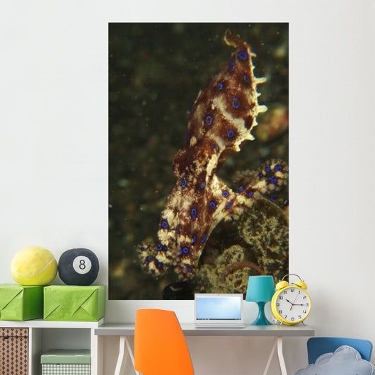 Blue-ring Octopus Black Sand Wall Decal