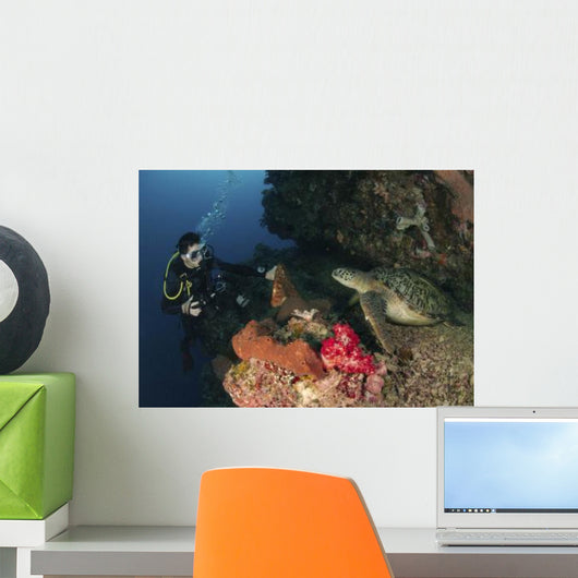 Green Sea Turtle and Wall Decal