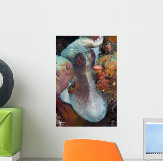 White and Red Octopus Wall Decal