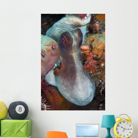 White and Red Octopus Wall Decal