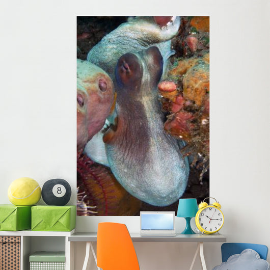 White and Red Octopus Wall Decal