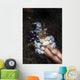 Harlequin Shrimp Eating Arm Wall Decal
