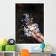 Harlequin Shrimp Eating Arm Wall Decal