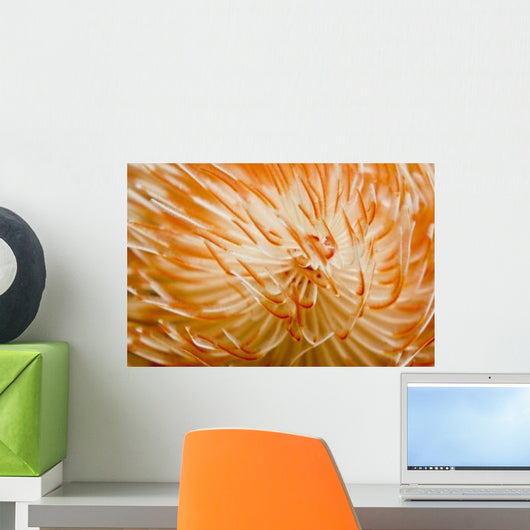 Orange and White Christmas-tree Wall Decal
