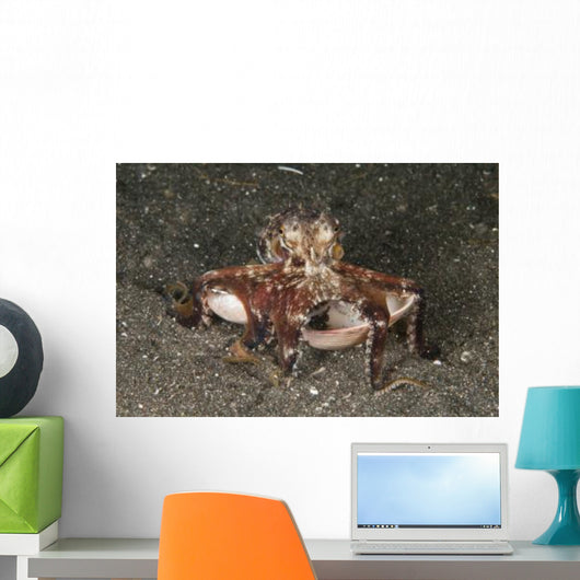 Coconut Octopus Carrying Clam Wall Decal