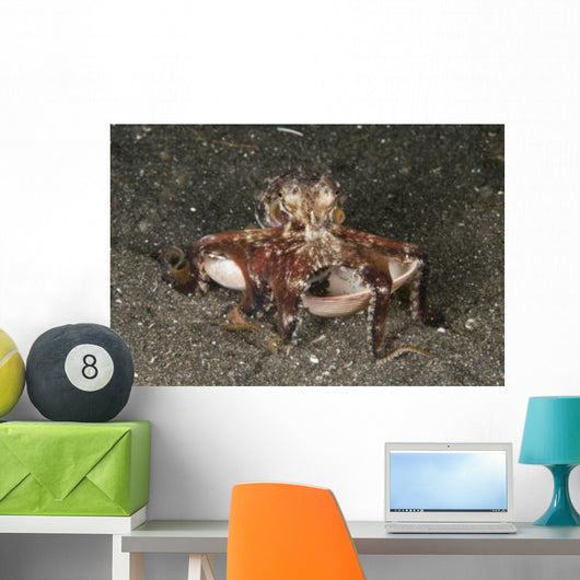 Coconut Octopus Carrying Clam Wall Decal