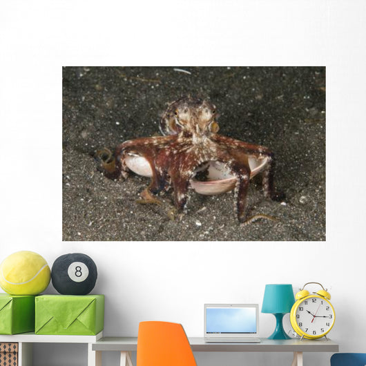 Coconut Octopus Carrying Clam Wall Decal