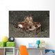 Coconut Octopus Carrying Clam Wall Decal