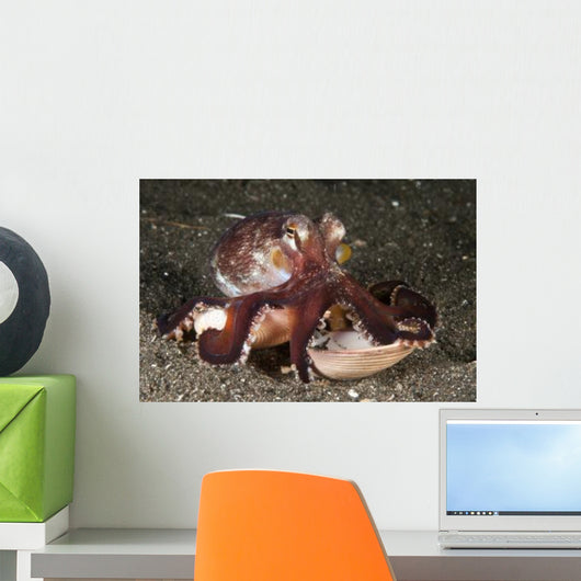 Coconut Octopus Carrying Clam Wall Decal