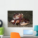 Coconut Octopus Carrying Clam Wall Decal