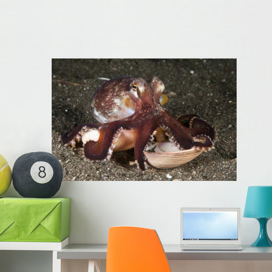 Coconut Octopus Carrying Clam Wall Decal