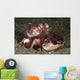 Coconut Octopus Carrying Clam Wall Decal