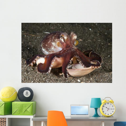 Coconut Octopus Carrying Clam Wall Decal