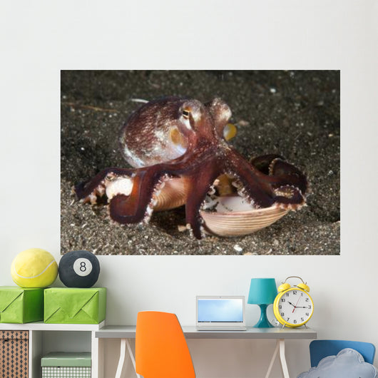 Coconut Octopus Carrying Clam Wall Decal