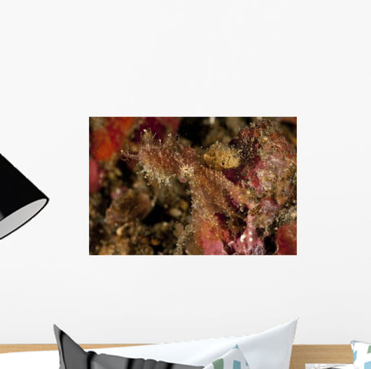 Hairy Octopus Hovering over Wall Decal