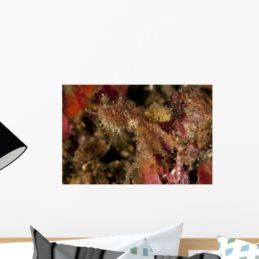 Hairy Octopus Hovering over Wall Decal