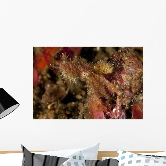 Hairy Octopus Hovering over Wall Decal