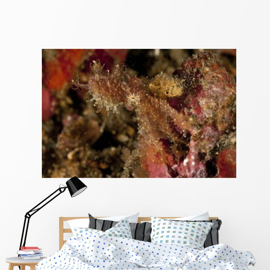 Hairy Octopus Hovering over Wall Decal