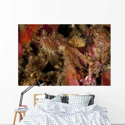 Hairy Octopus Hovering over Wall Decal