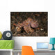 Ocellate Octopus with Two Wall Decal Design 3