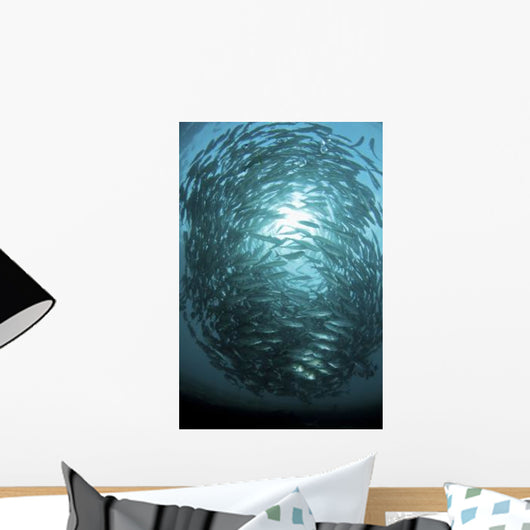 Circular School Trevally with Wall Decal Design 7